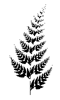 images/fern.png